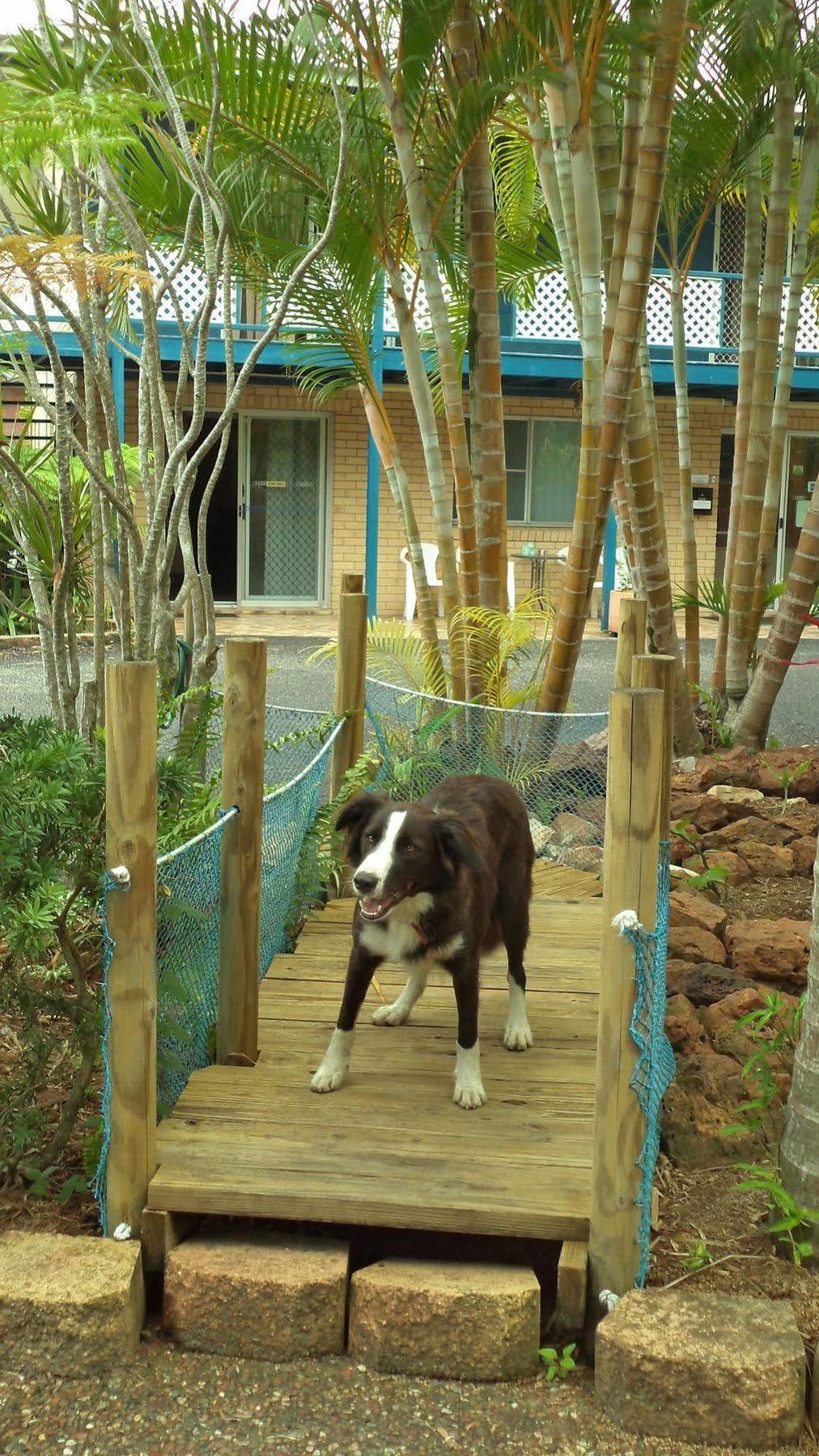 Tin Can Bay Motel Екстериор снимка